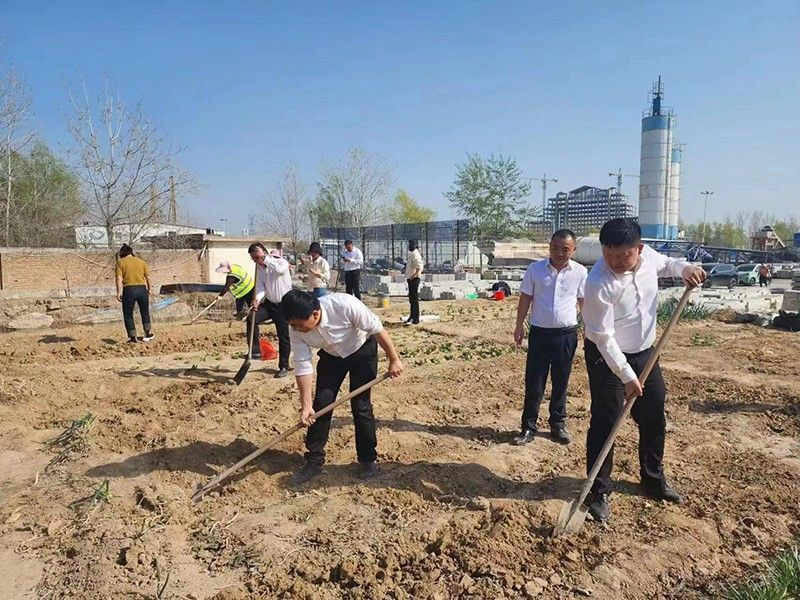 “春播添新綠，不負好春光”-城建新型材料公司黨支部開展主體黨日活動
